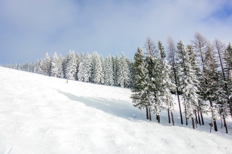 whitefish-pic-1-1-of-1