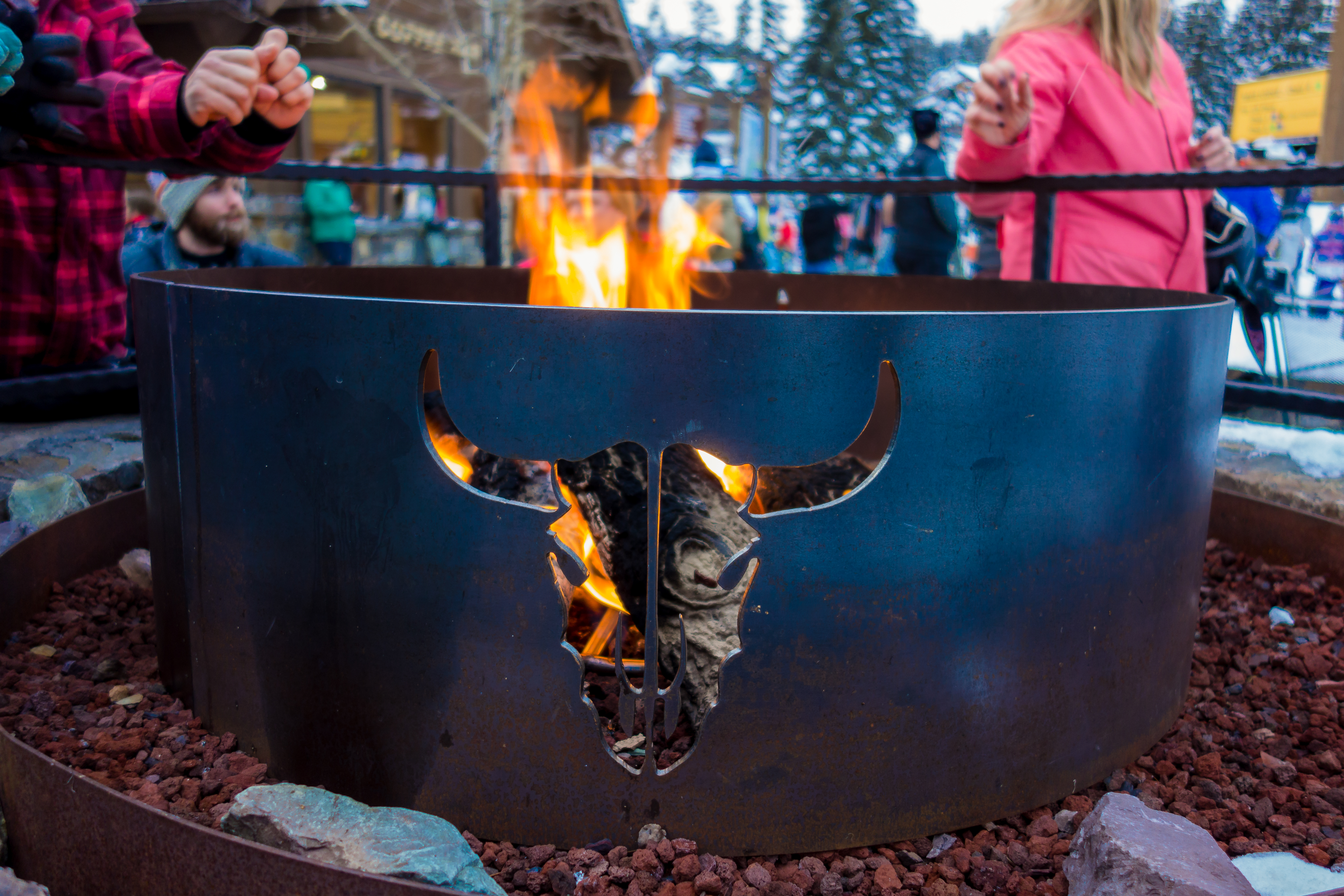 whitefish-pic-5-1-of-1