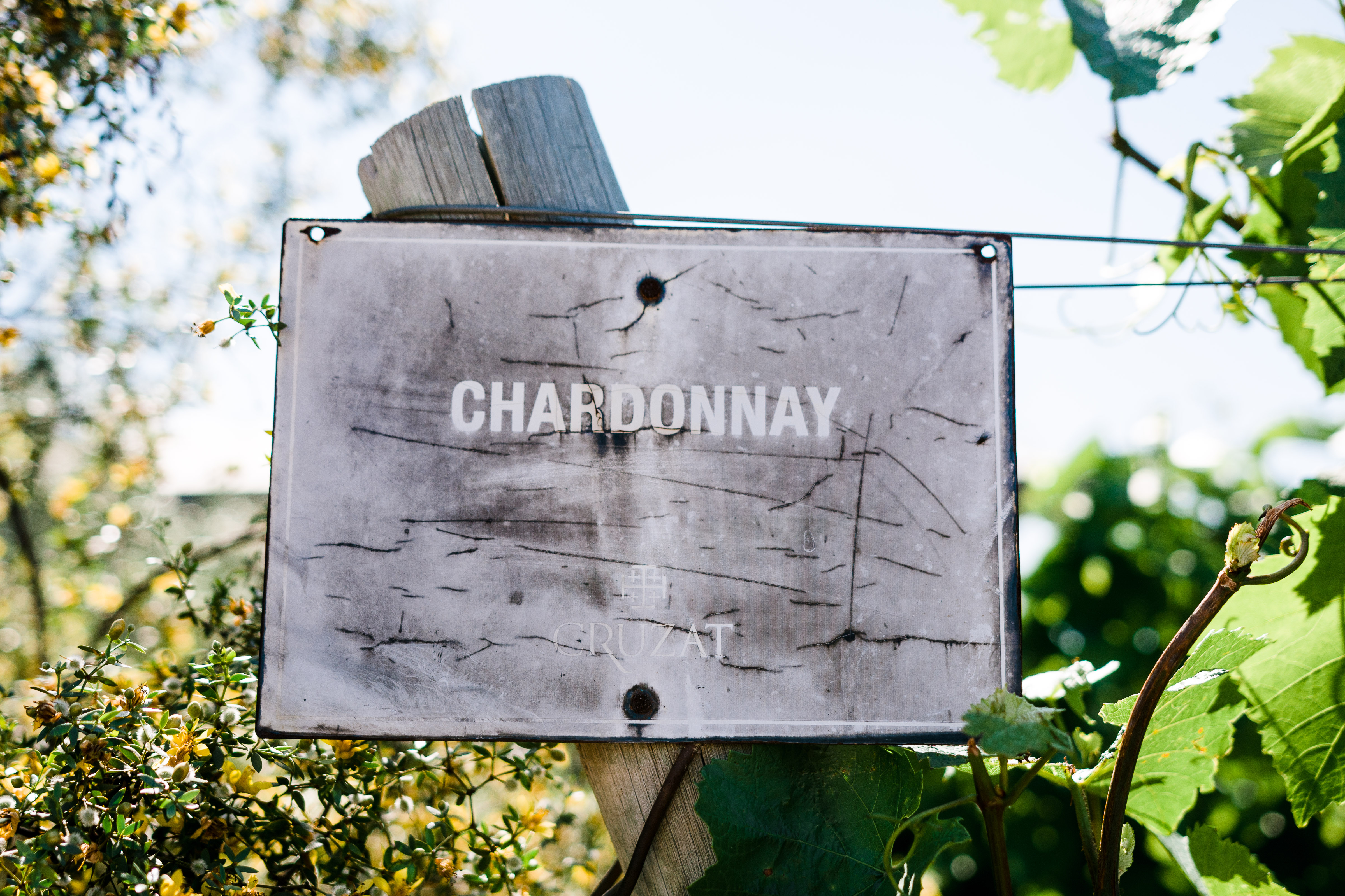 Argentina 2016 (1 of 58)