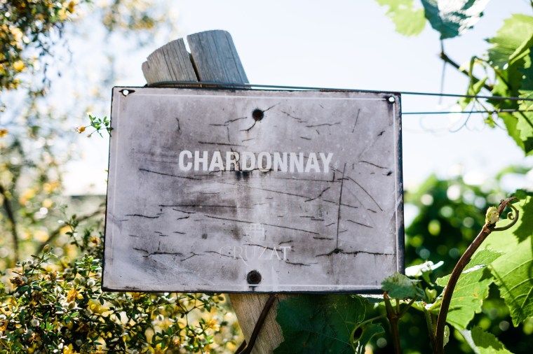 Argentina 2016 (1 of 58)