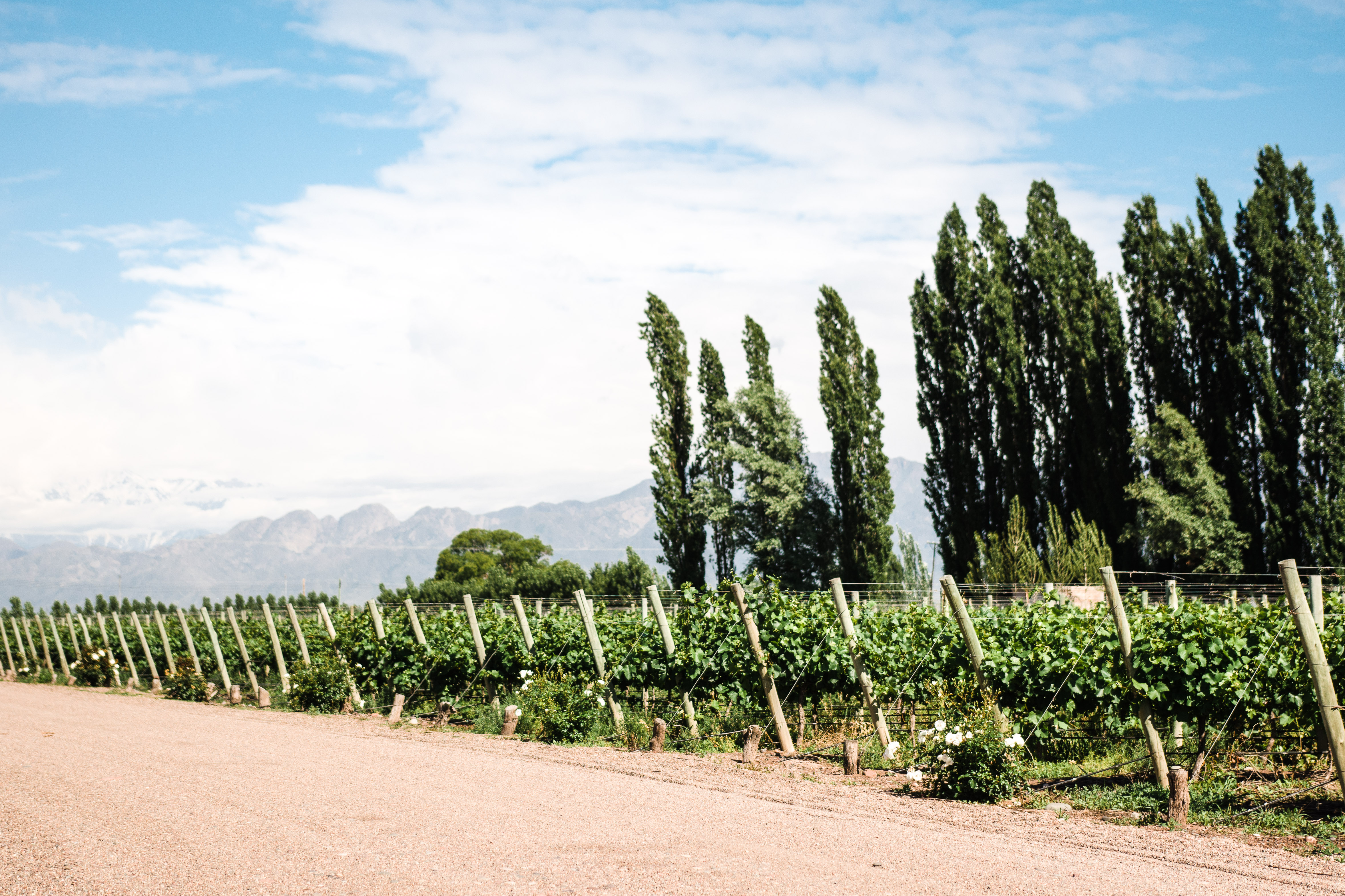 Argentina 2016 (2 of 58)