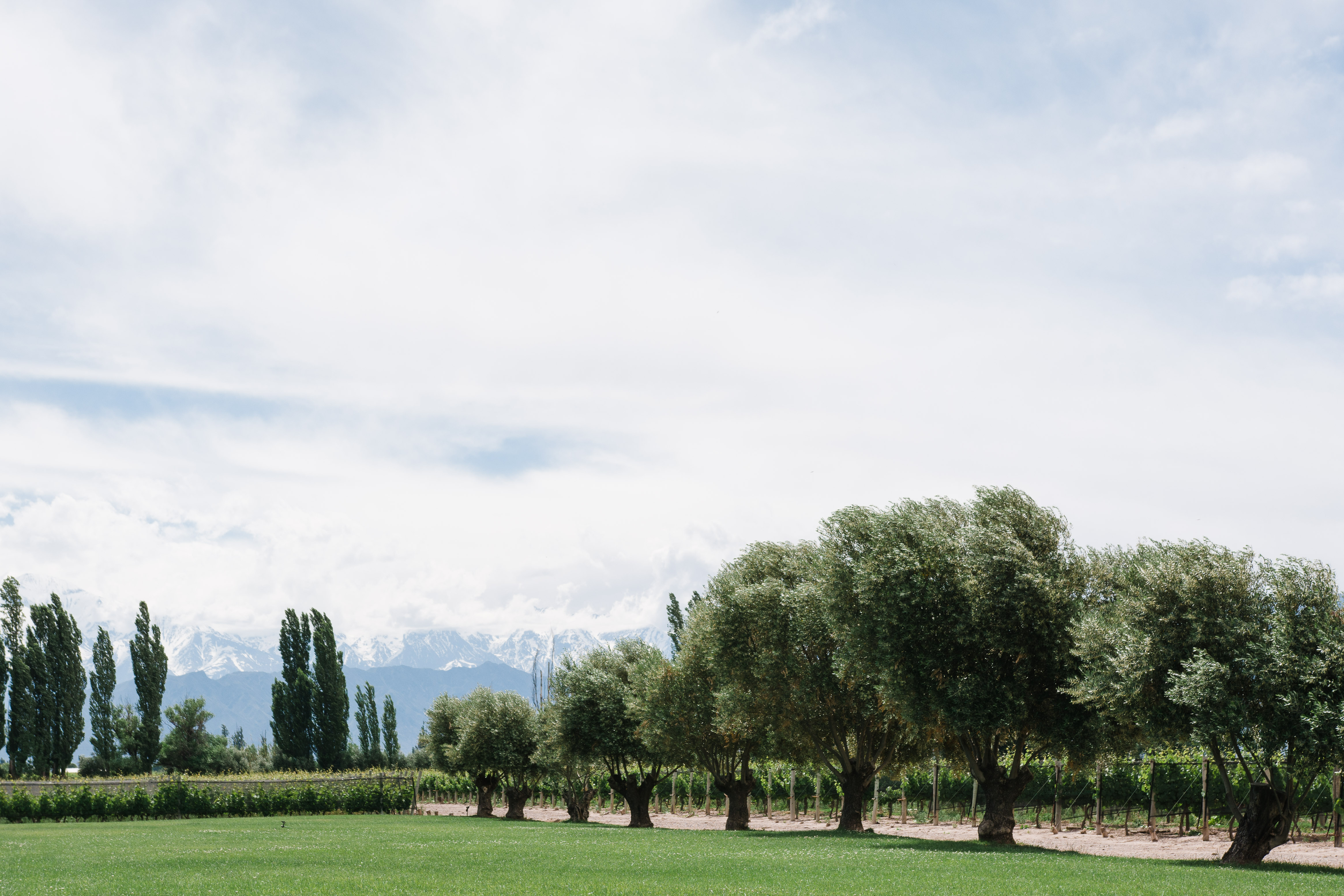 Argentina 2016 (25 of 58)