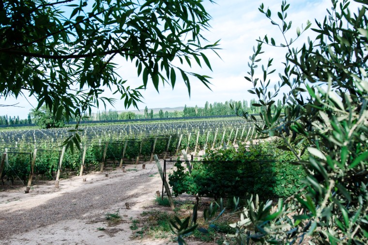 Argentina 2016 (33 of 58)