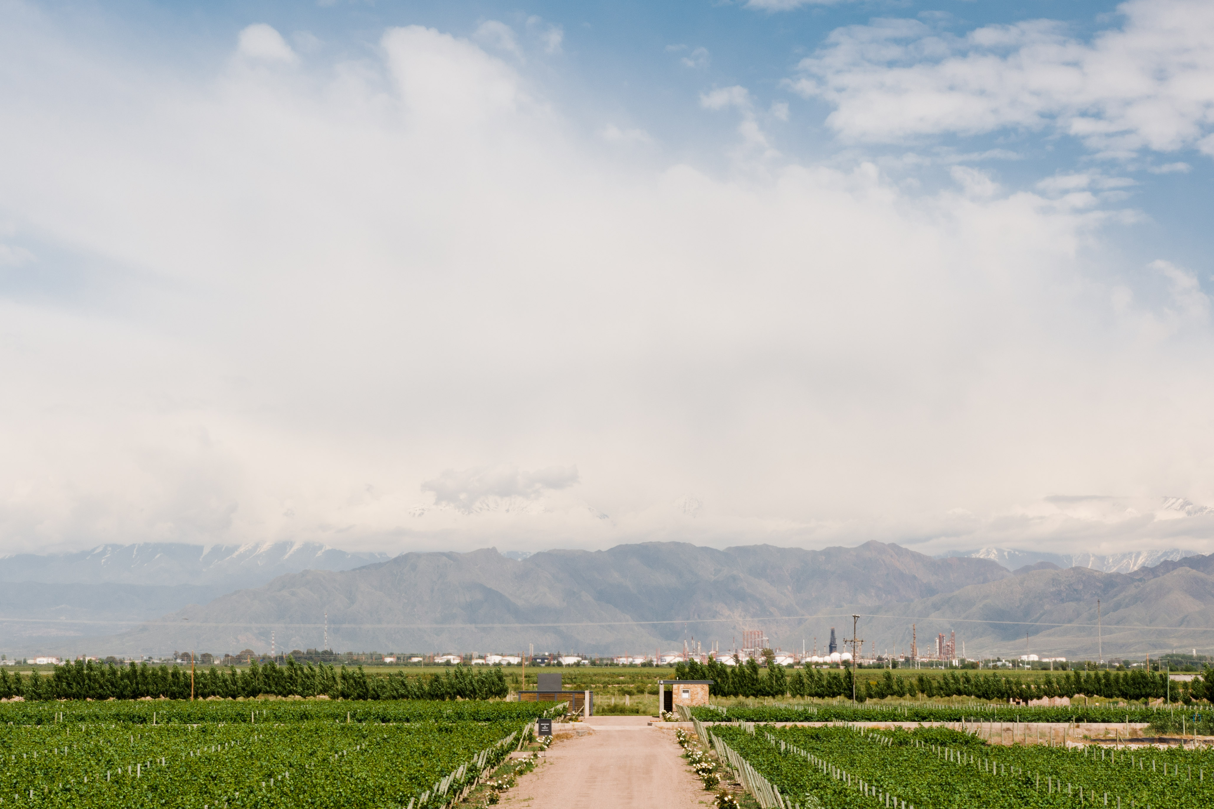 Argentina 2016 (5 of 58)