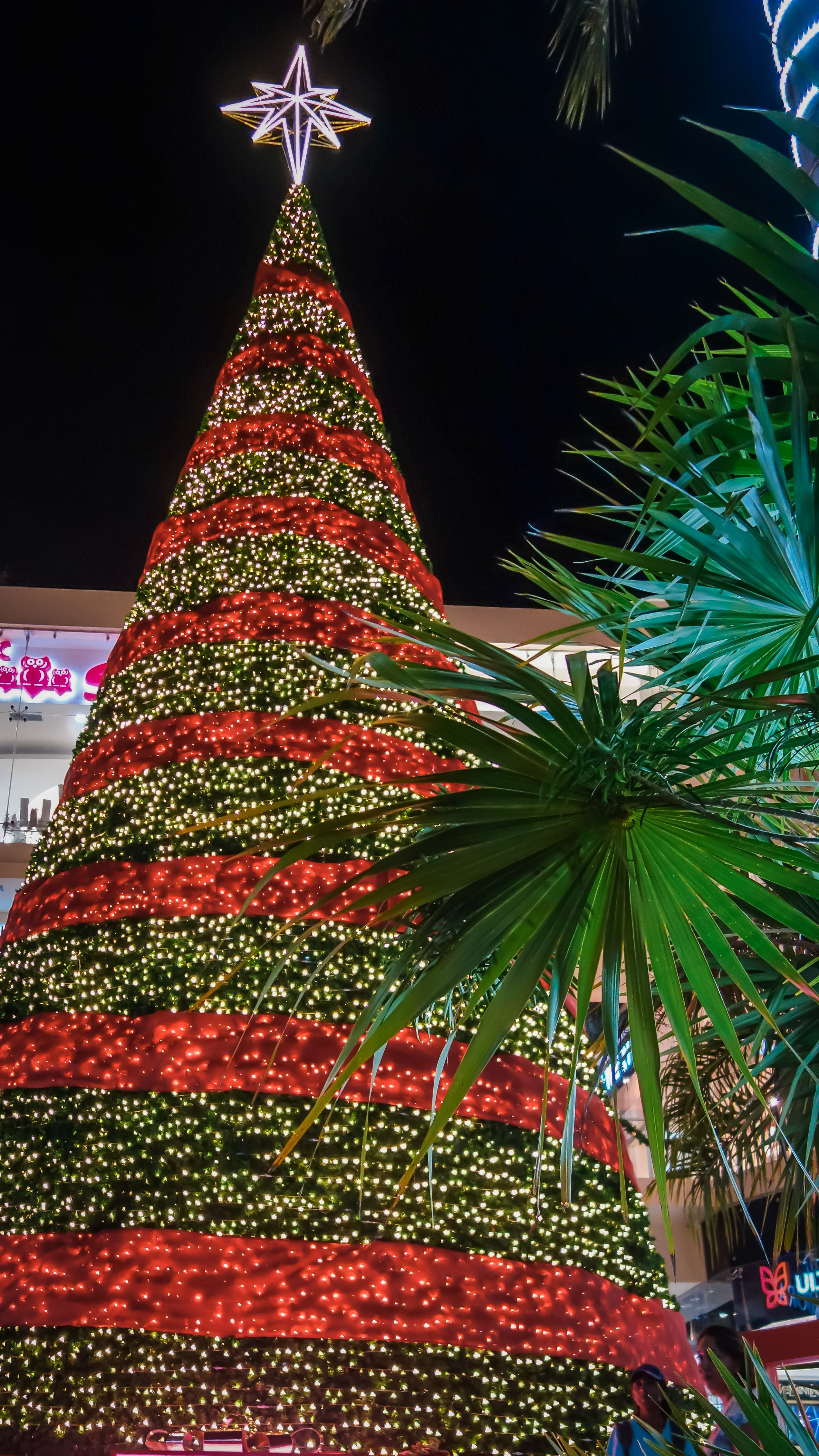 Mexico Blog 2017 (1 of 23)