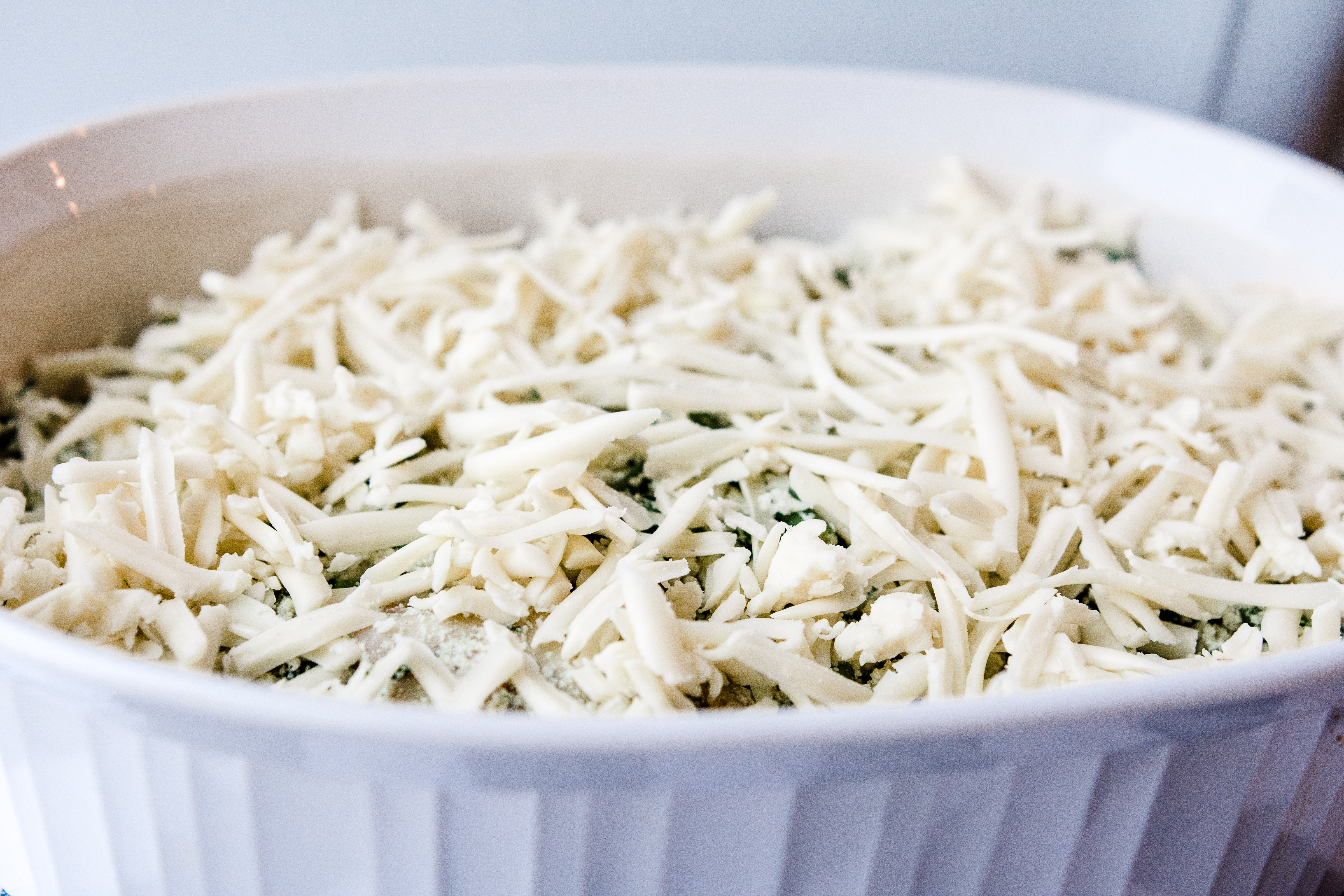 Veggie Lasagna (1 of 1)