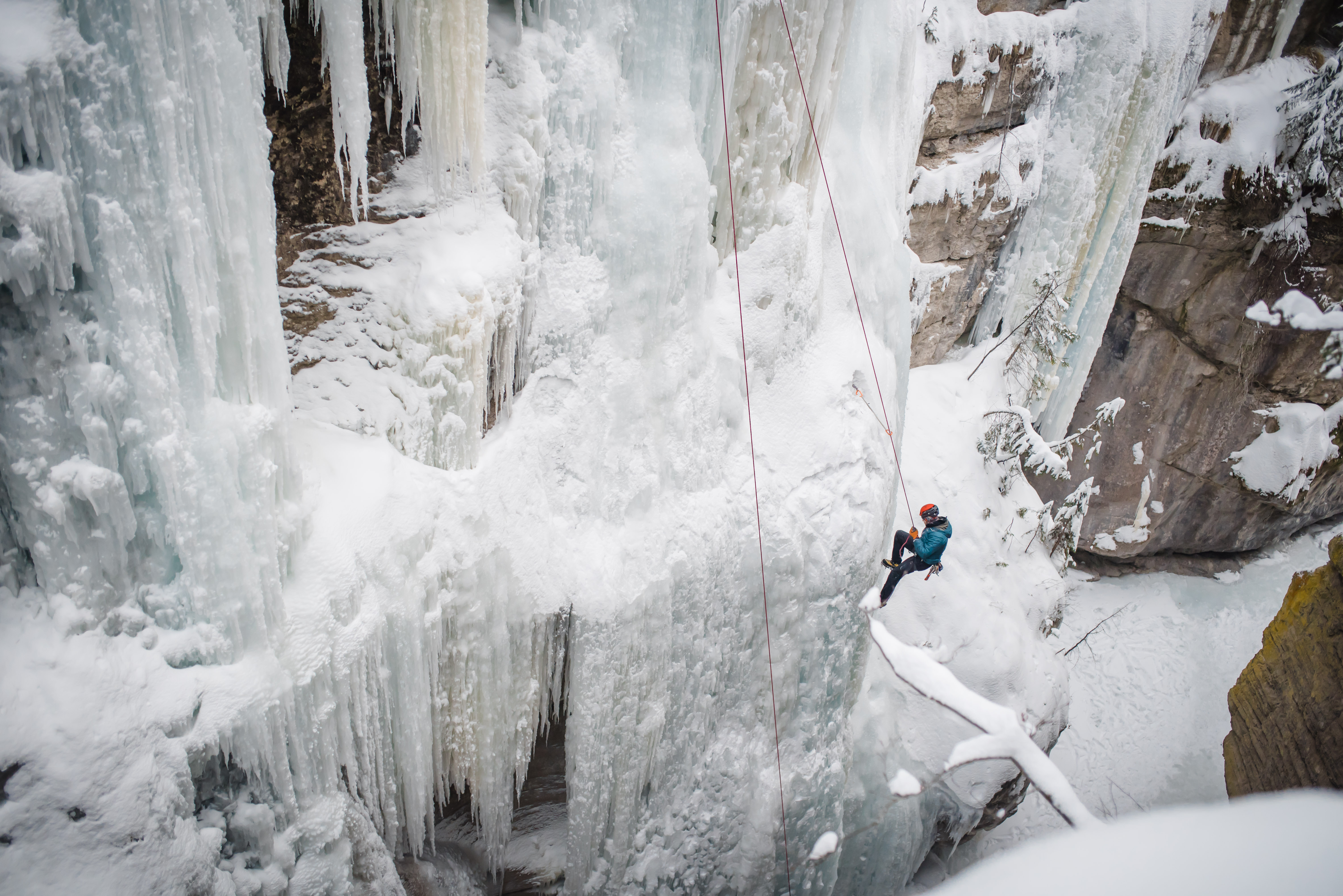 Jasper February 2018 (122 of 132)