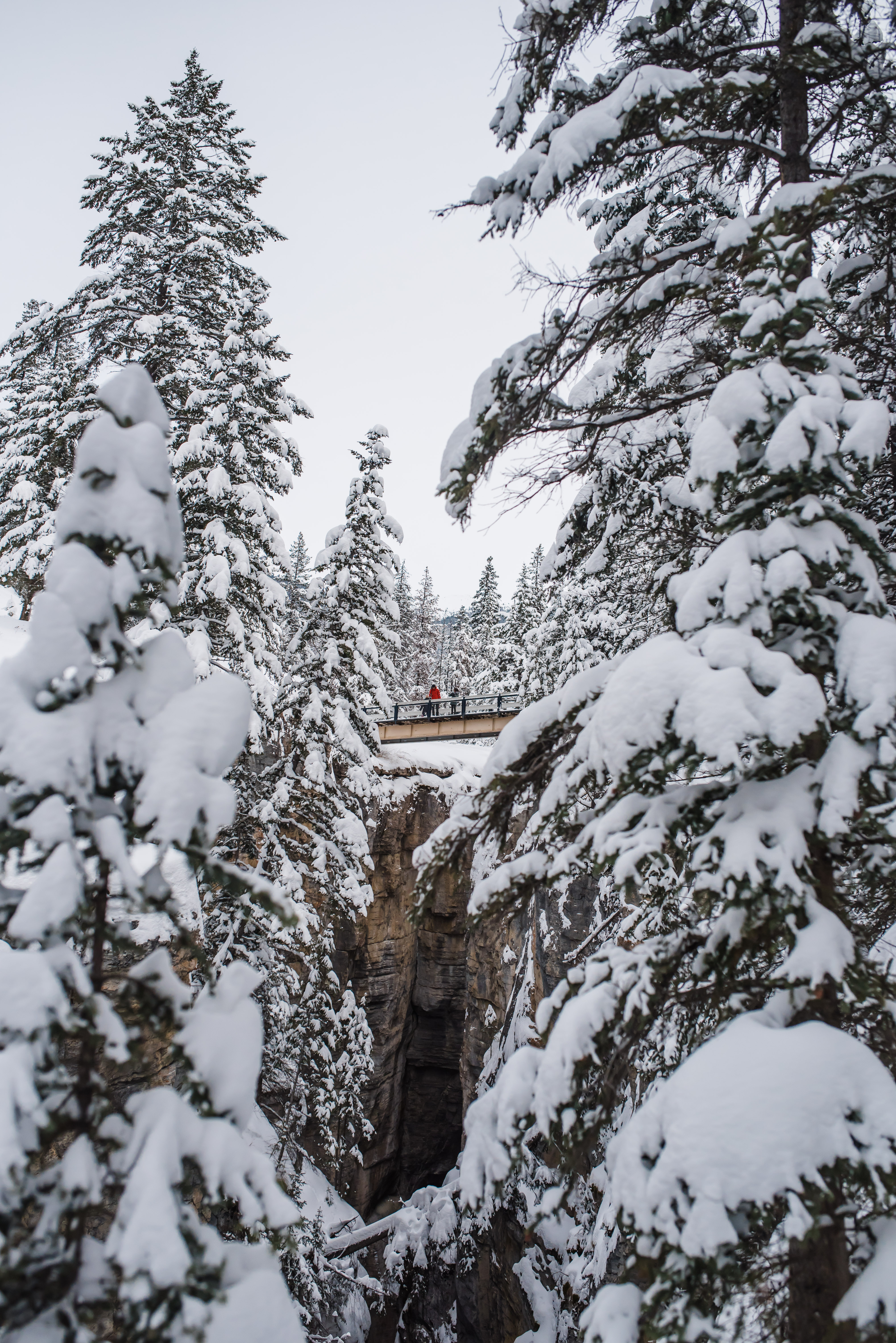 Jasper February 2018 (125 of 132)