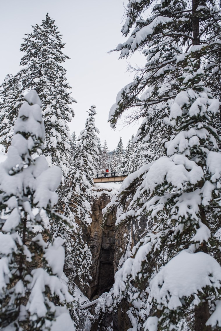 Jasper February 2018 (125 of 132)