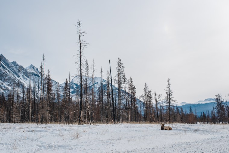 Jasper February 2018 (129 of 132)