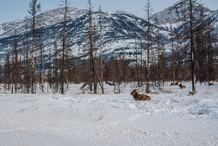 Jasper February 2018 (130 of 132)