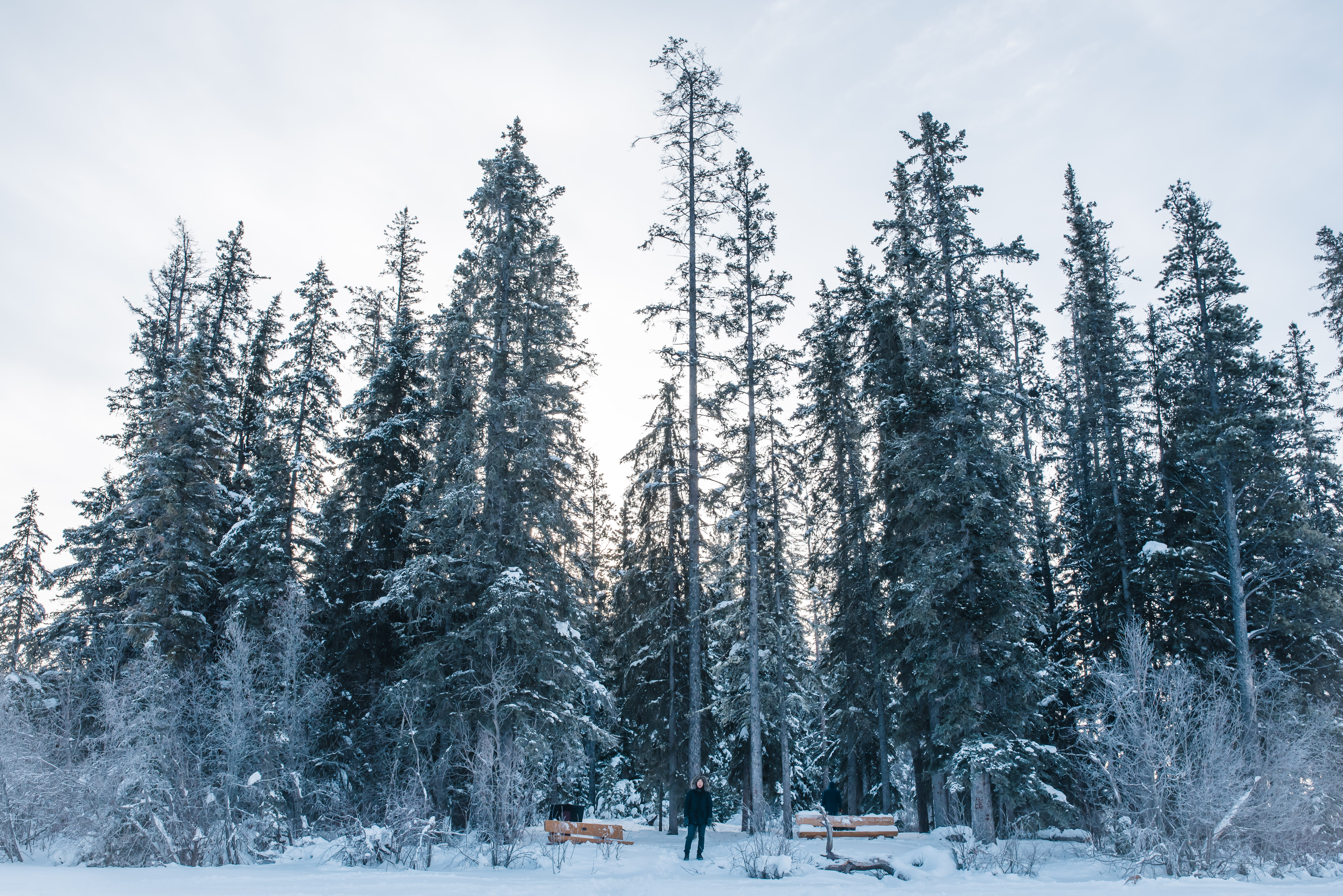 Jasper February 2018 (63 of 132)