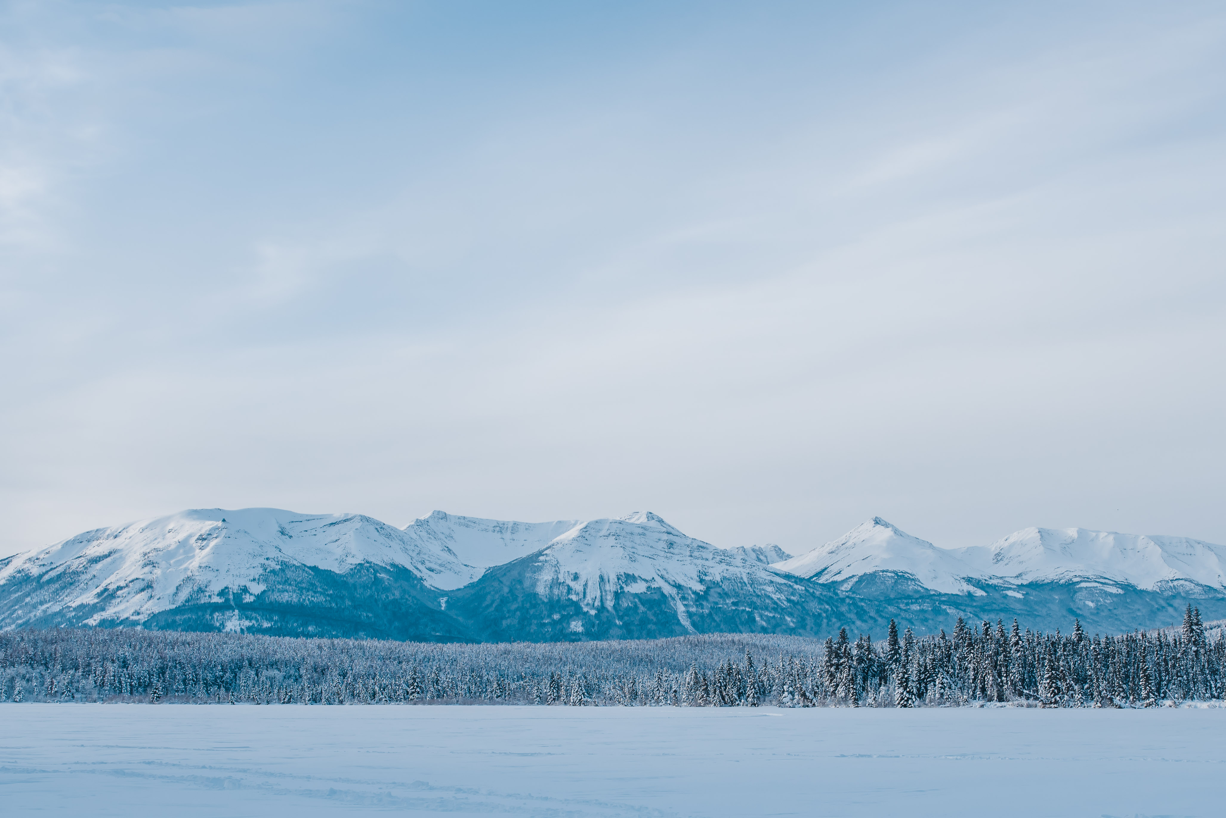 Jasper February 2018 (64 of 132)