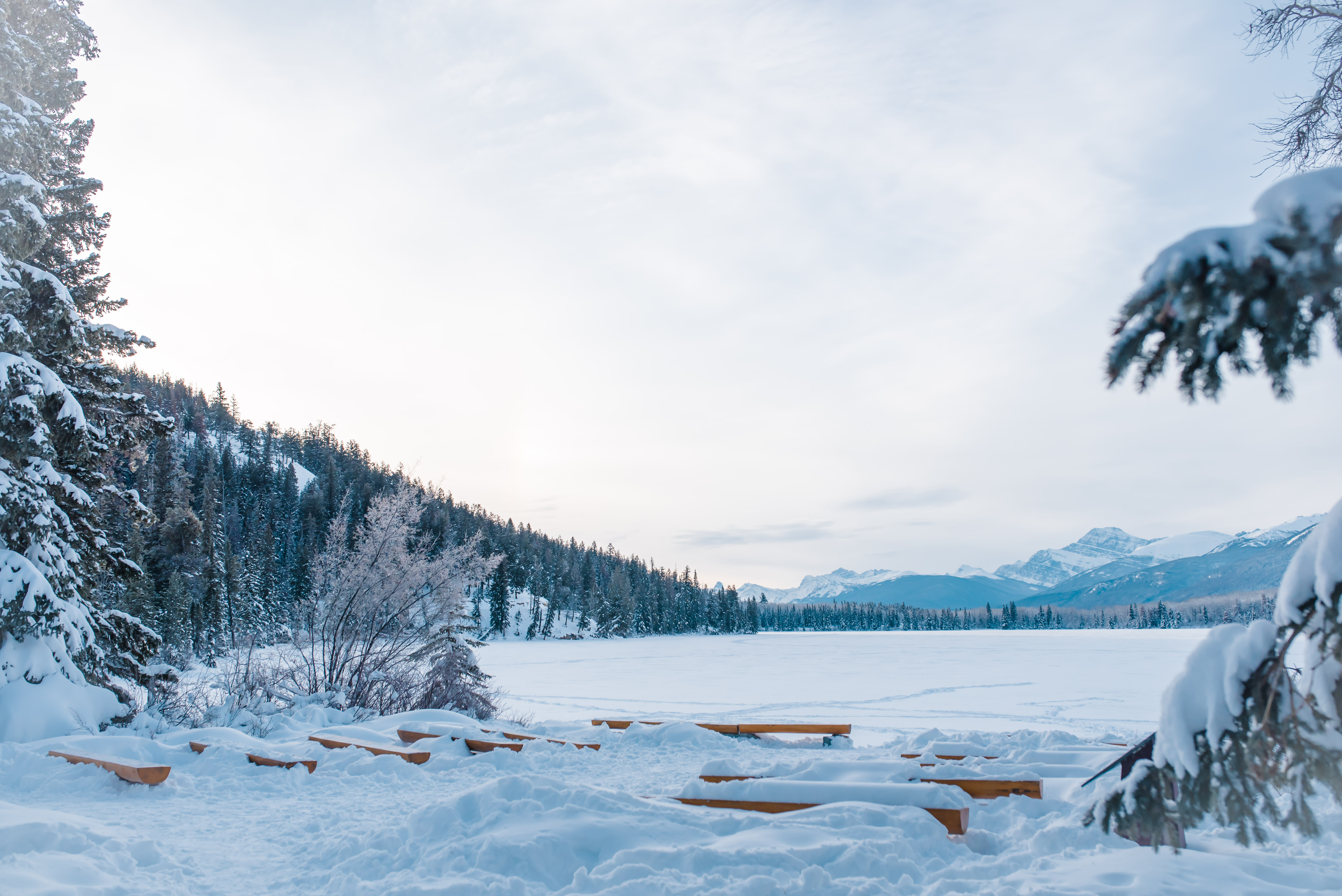 Jasper February 2018 (67 of 132)