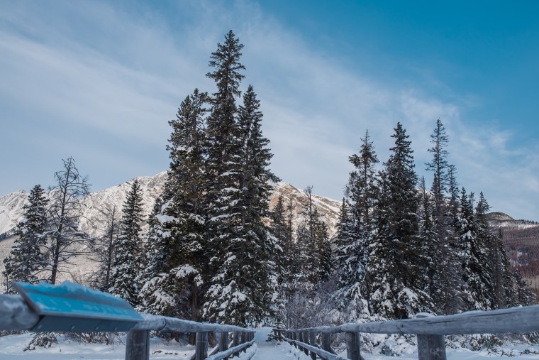 Jasper February 2018 (68 of 132)