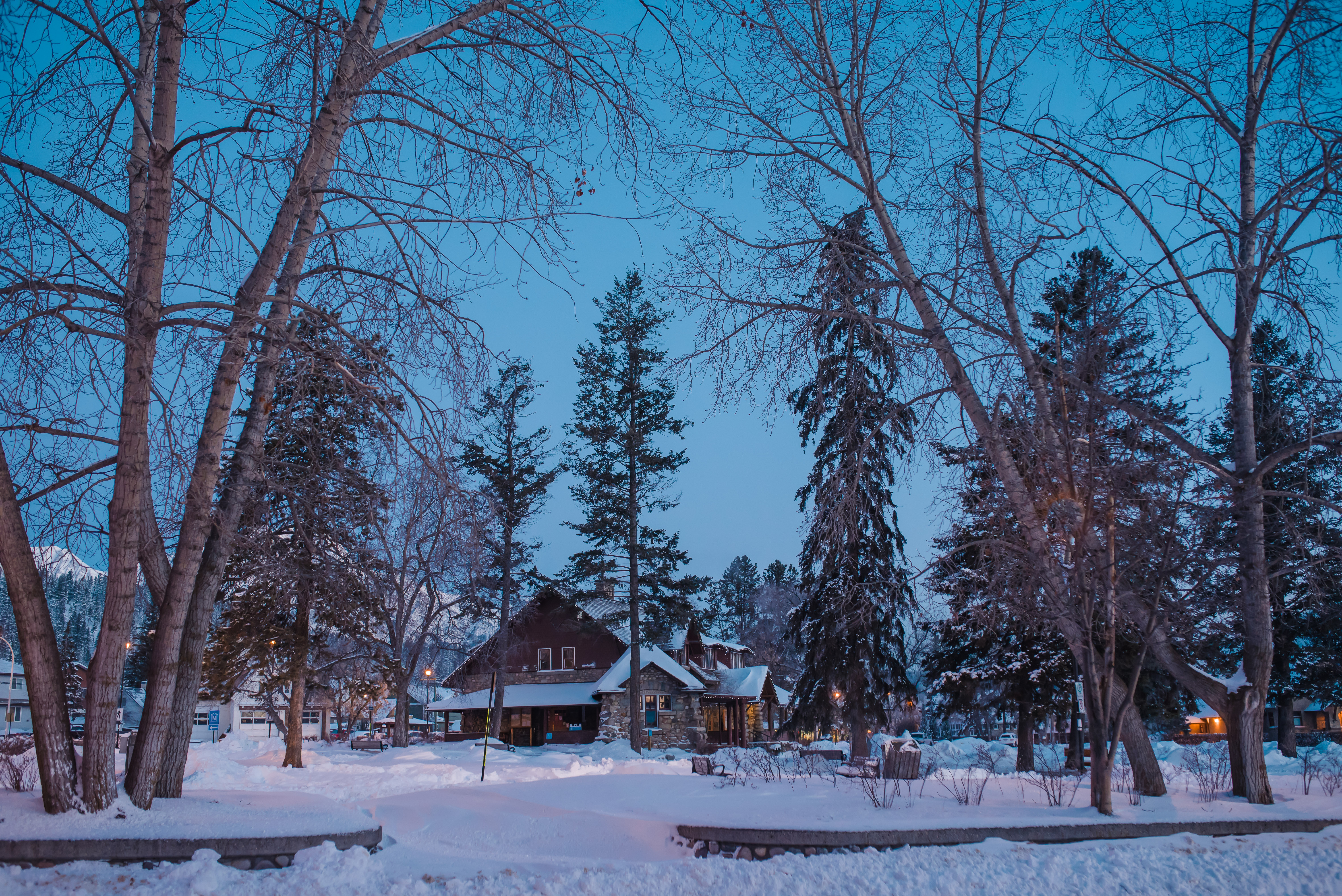 Jasper February 2018 (8 of 132)